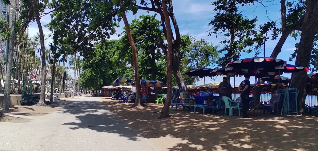 Jomtien Beach Road in Pattaya, lined with trees, umbrellas, and beach chairs. You can see the road where songthaews drive by.