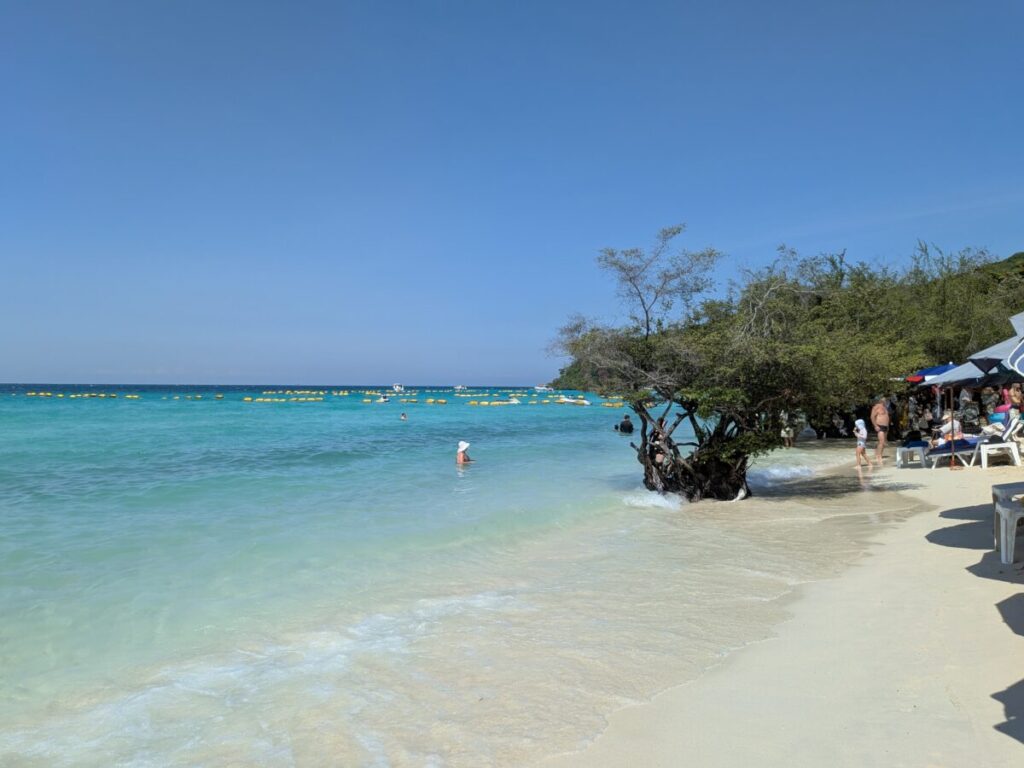 Turquoise water and coastal trees at Tien Beach on Koh Larn